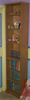 Chimney Style case